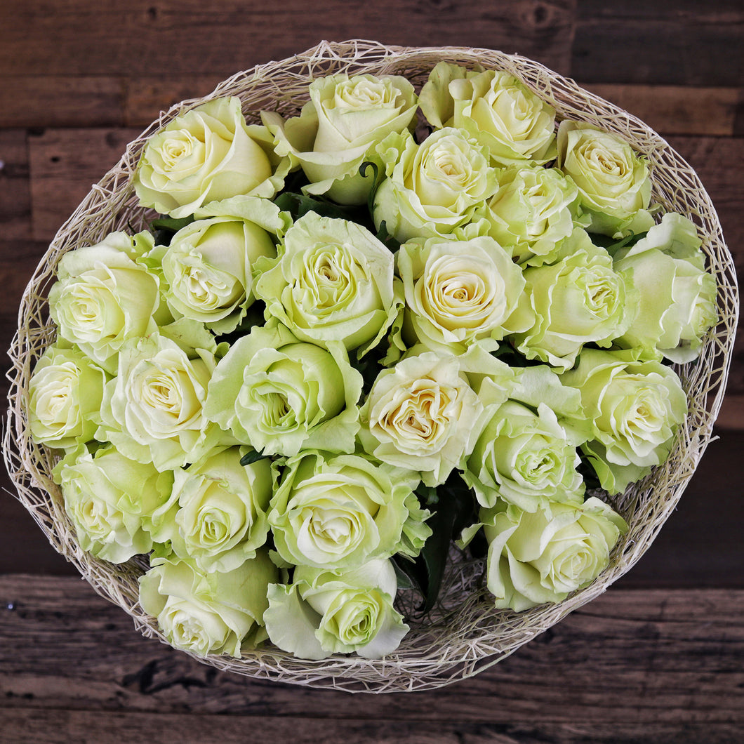 White Mondial Roses